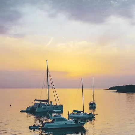 Center Coastal Escape - With Sea View Or Cozy Novigrad Istria
